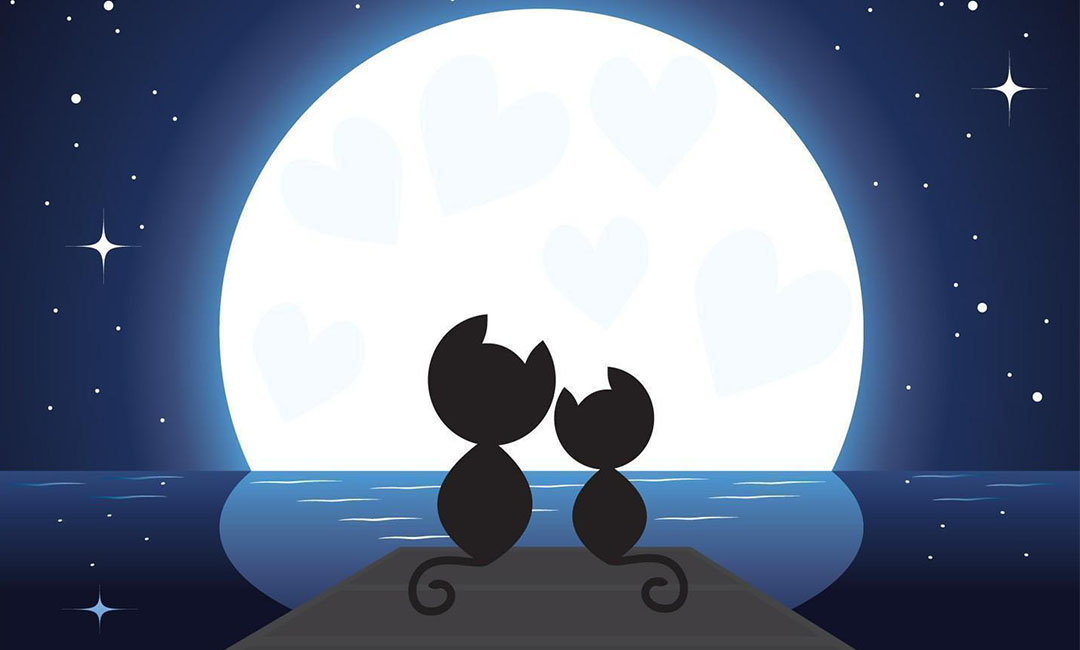 萍乡潮客汇微信活动策划案例